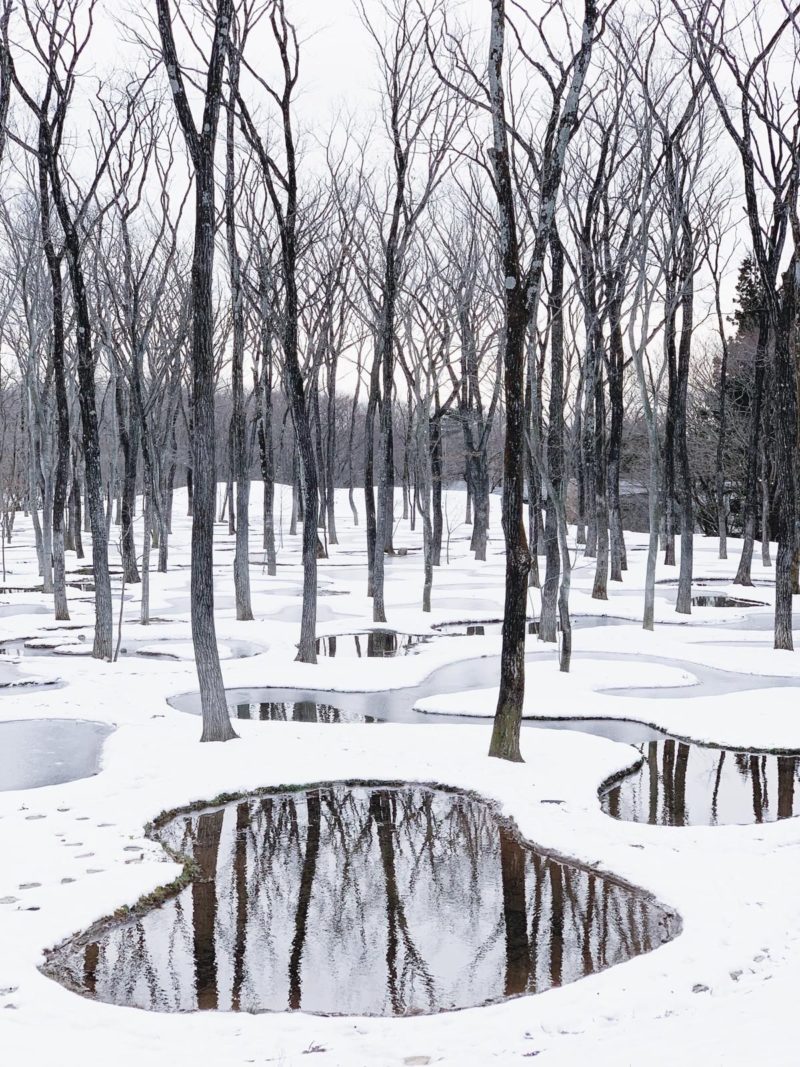 Junya Ishigami - Water Garden, 2018, Nasu Mountains, Tochigi Prefecture, Japan