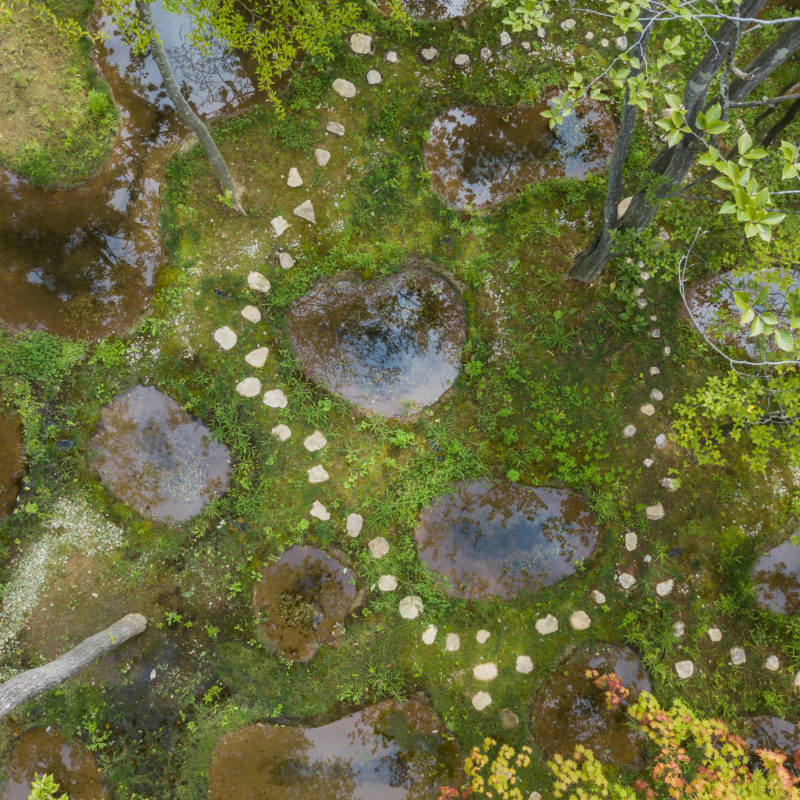Junya Ishigami - Water Garden, 2018, Nasu Mountains, Tochigi Prefecture, Japan