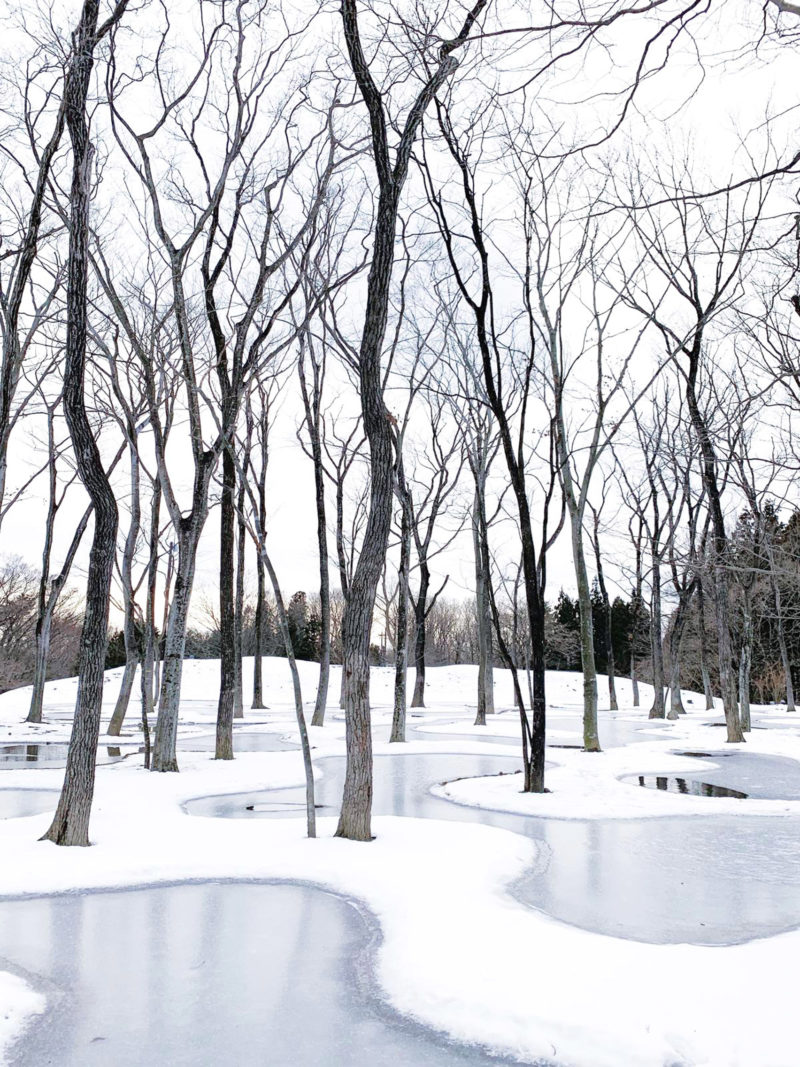 Junya Ishigami - Water Garden, 2018, Nasu Mountains, Tochigi Prefecture, Japan.