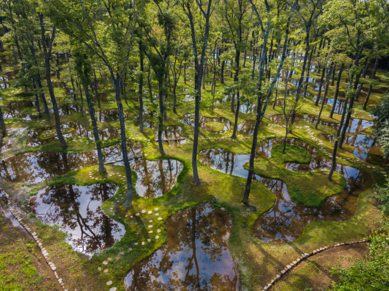 Junya Ishigami - Water Garden, 2018, Nasu Mountains, Tochigi Prefecture, Japan