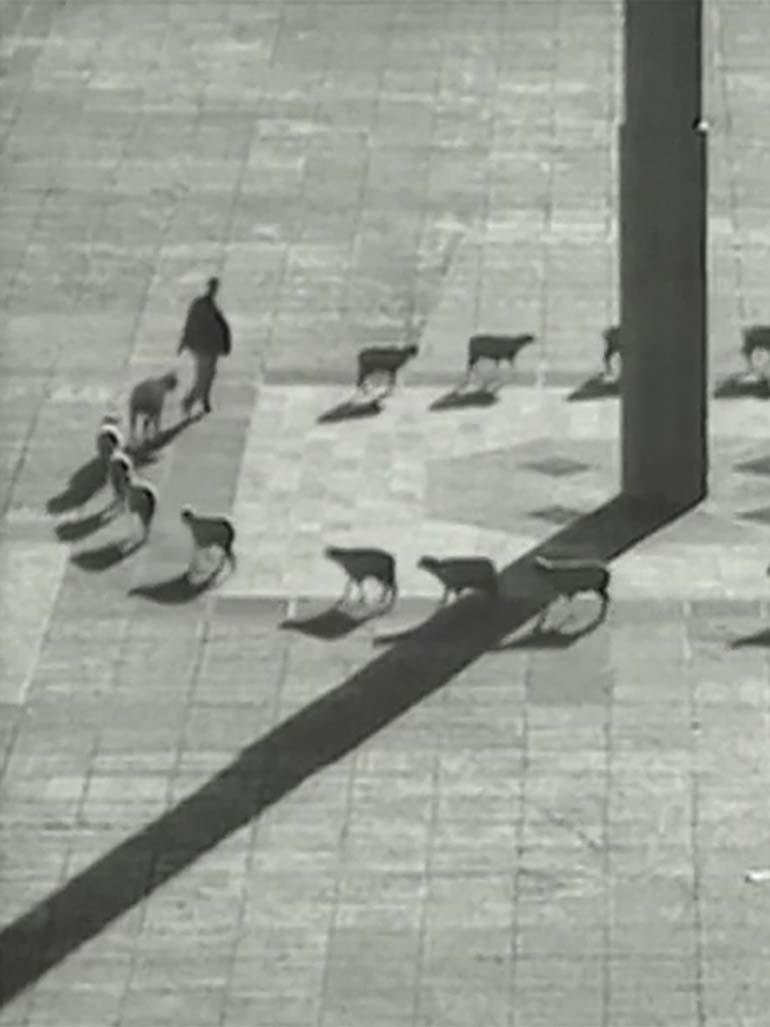 Francis Alÿs - Cuentos patrióticos, 1997, Mexico City, Mexico, 25 min 36 sec feat